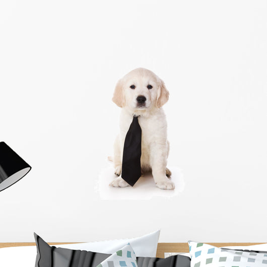 Golden Retriever Puppy White Wall Decal
