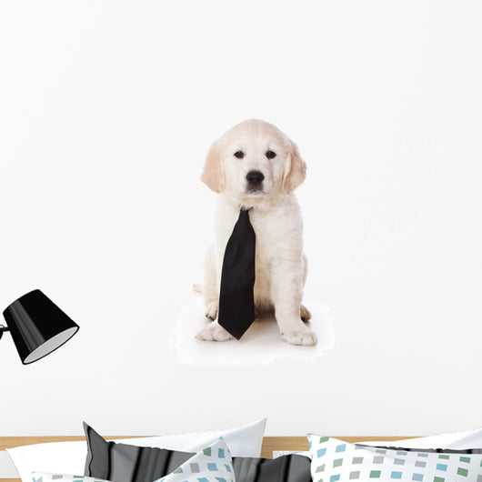 Golden Retriever Puppy White Wall Decal