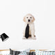 Golden Retriever Puppy White Wall Decal