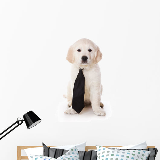 Golden Retriever Puppy White Wall Decal
