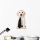 Golden Retriever Puppy White Wall Decal