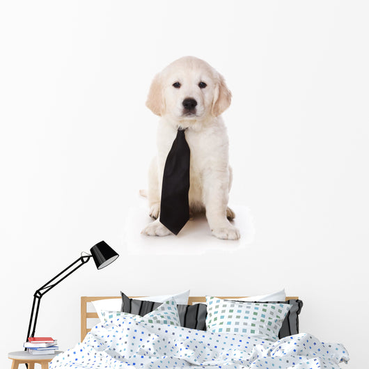 Golden Retriever Puppy White Wall Decal