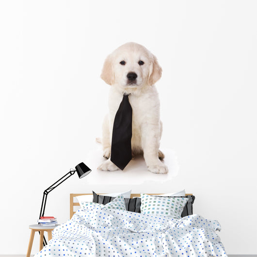 Golden Retriever Puppy White Wall Decal
