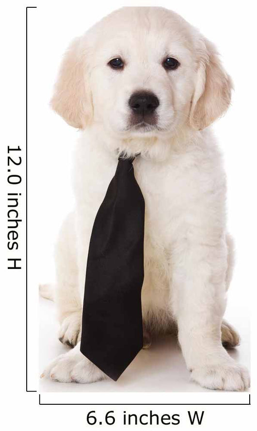 Golden Retriever Puppy White Wall Decal