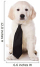 Golden Retriever Puppy White Wall Decal
