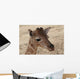 Baby Giraffe Wall Decal