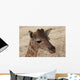 Baby Giraffe Wall Decal