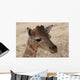 Baby Giraffe Wall Decal