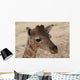 Baby Giraffe Wall Decal