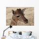 Baby Giraffe Wall Decal
