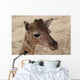 Baby Giraffe Wall Decal