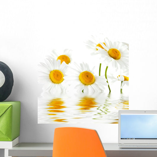 Reflected White Daisies Wall Decal
