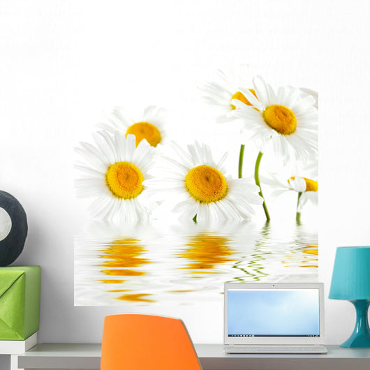 Reflected White Daisies Wall Decal