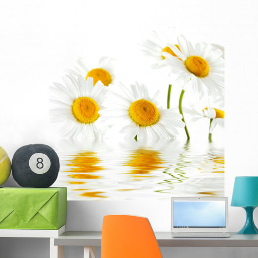 Reflected White Daisies Wall Decal