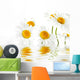 Reflected White Daisies Wall Decal