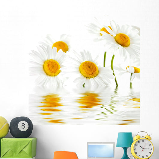 Reflected White Daisies Wall Decal