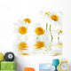 Reflected White Daisies Wall Decal