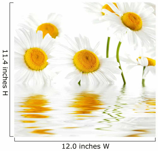 Reflected White Daisies Wall Decal