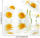 Reflected White Daisies Wall Decal