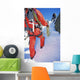 Young Men Mountain Climbing Wall Decal