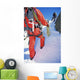 Young Men Mountain Climbing Wall Decal