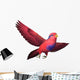 Red and Blue Lory Wall Decal