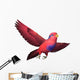 Red and Blue Lory Wall Decal