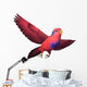Red and Blue Lory Wall Decal