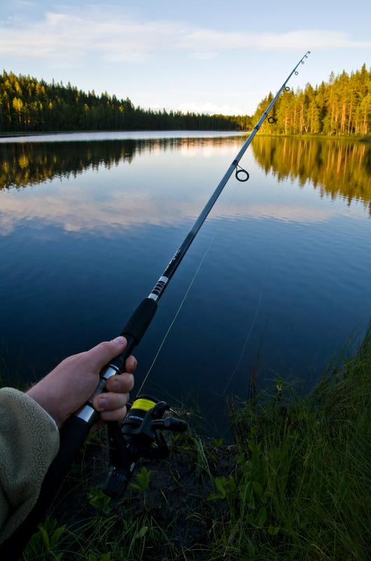 Fishing Calm Summer Lake Wall Decal
