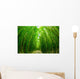 Path through Bamboo Forrest Wall Decal