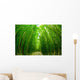 Path through Bamboo Forrest Wall Decal