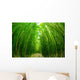 Path through Bamboo Forrest Wall Decal