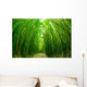 Path through Bamboo Forrest Wall Decal