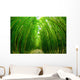 Path through Bamboo Forrest Wall Decal
