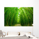 Path through Bamboo Forrest Wall Decal