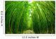 Path through Bamboo Forrest Wall Decal