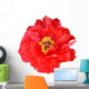 Vermillion Peony Wall Decal