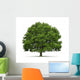 Tree Oak Wall Decal