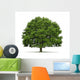 Tree Oak Wall Decal