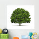 Tree Oak Wall Decal