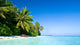 Lonely Tropical Beach Wall Decal