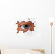 Eye Looking through Hole Wall Decal