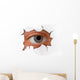Eye Looking through Hole Wall Decal