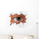 Eye Looking through Hole Wall Decal