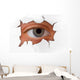 Eye Looking through Hole Wall Decal