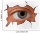 Eye Looking through Hole Wall Decal