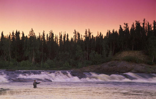Man Fly-Fishing In River Wall Mural
