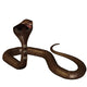Snake Cobra 3D White Wall Decal