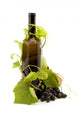 Bottle of Wine Studio Wall Decal