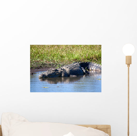 Wild Crocodile Sunbathing Wall Decal